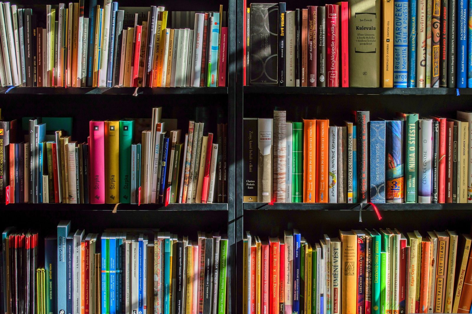 Bücherregal mit vielen verschiedenen Büchern